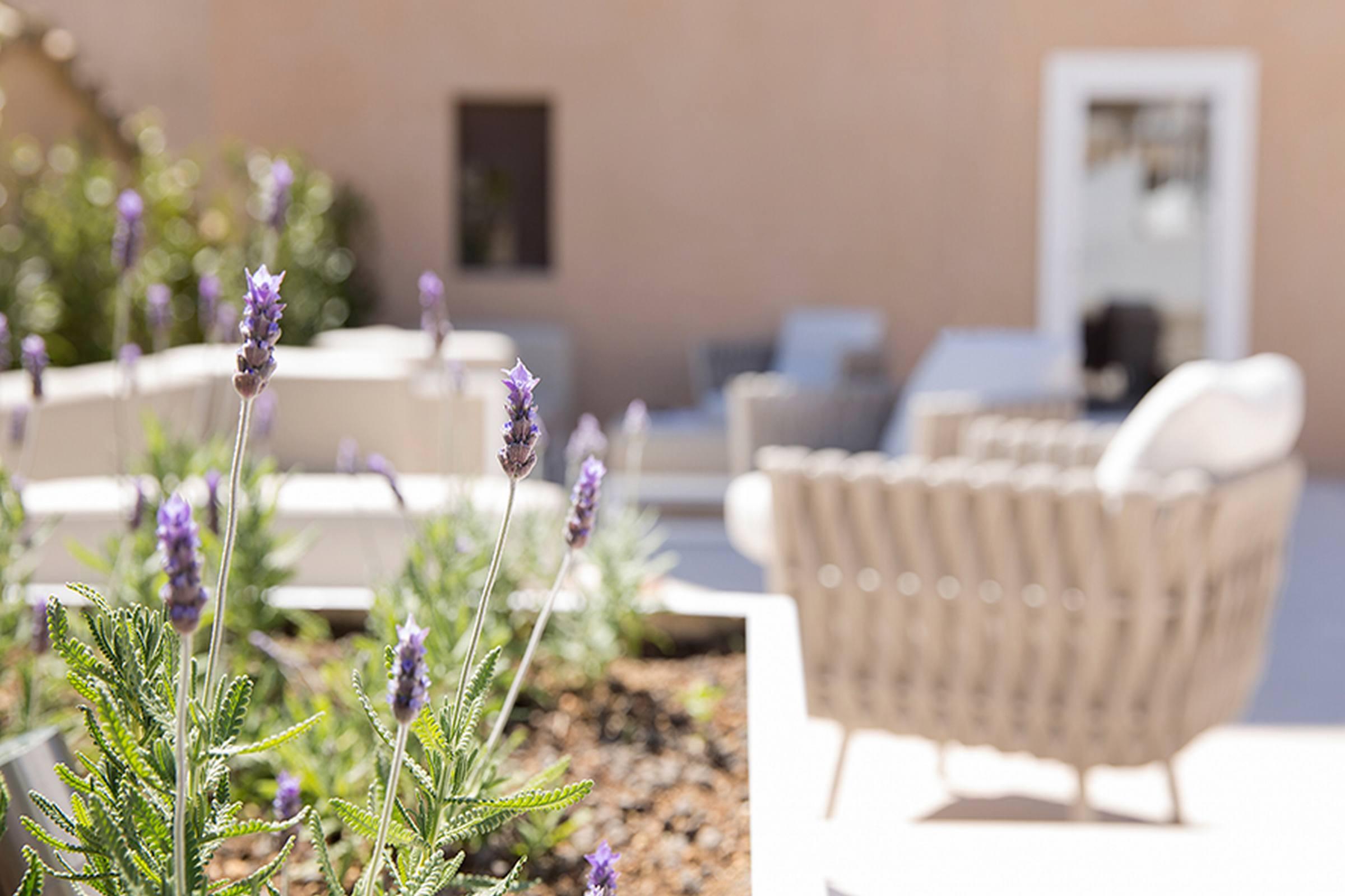 Convent De La Missio - Grand Luxury Boutique Hotel, Adults Only Palma de Mallorca Buitenkant foto